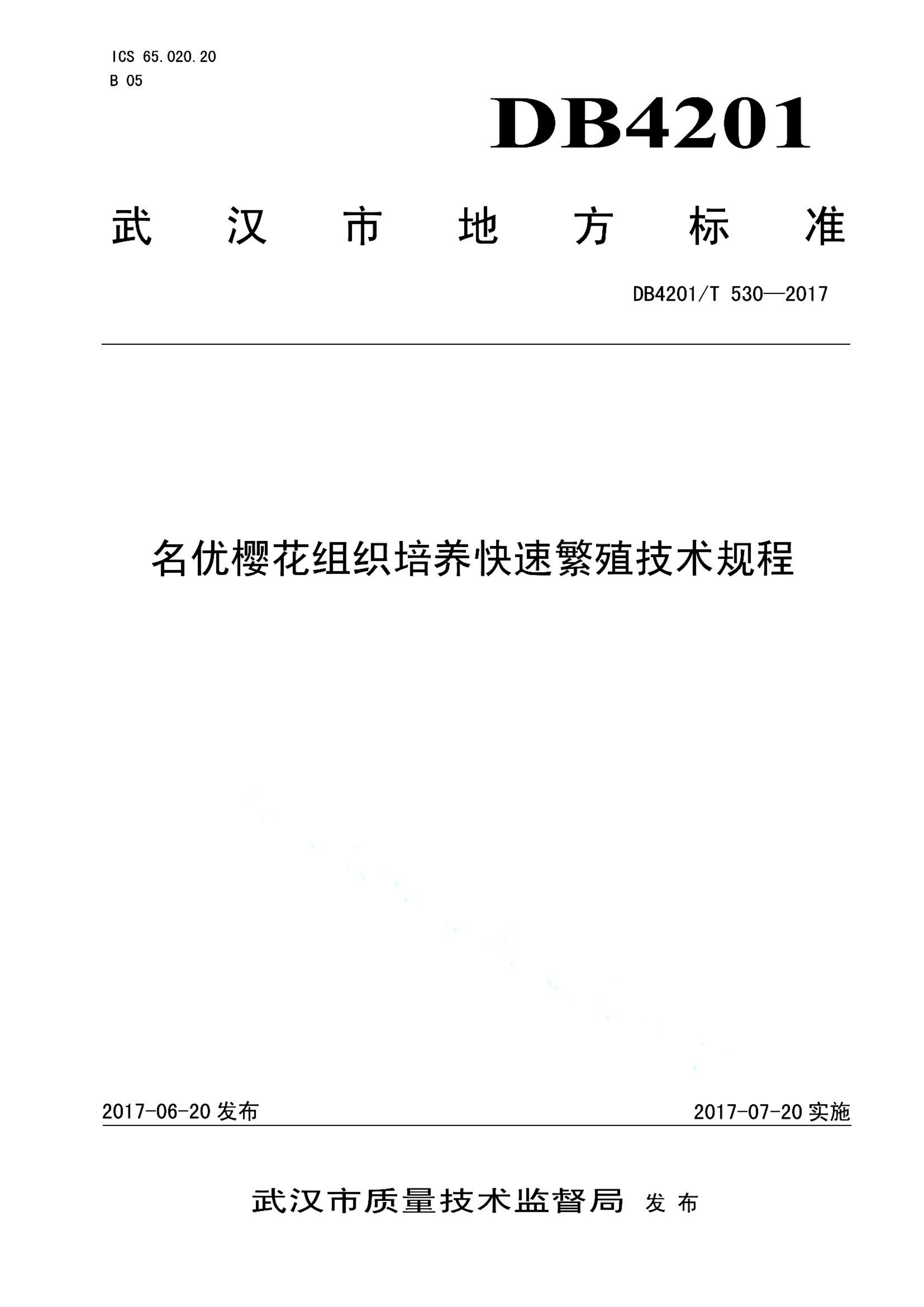 资源详情图
